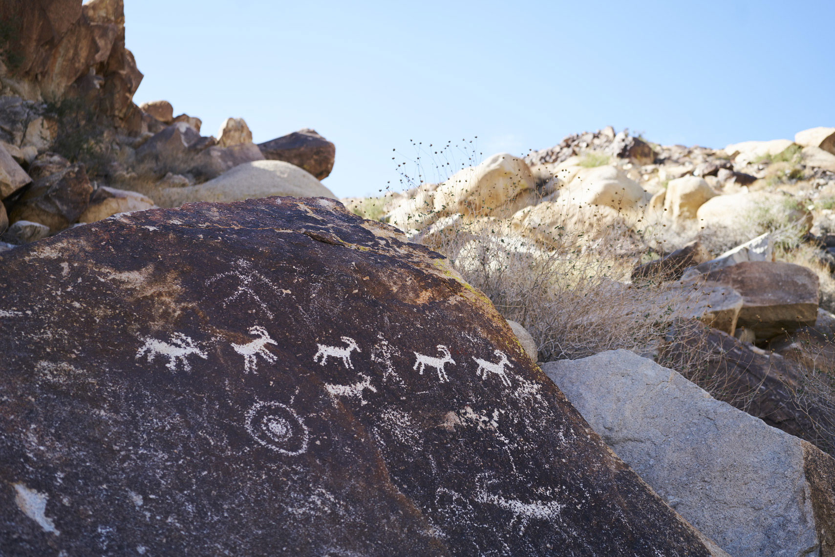 Petroglyphs dated from 1100AD to 1900AD on a rock off Christmas Tree Pass near Grapevine Canyon Laughlin, Nevada  Sean Dagen Photography