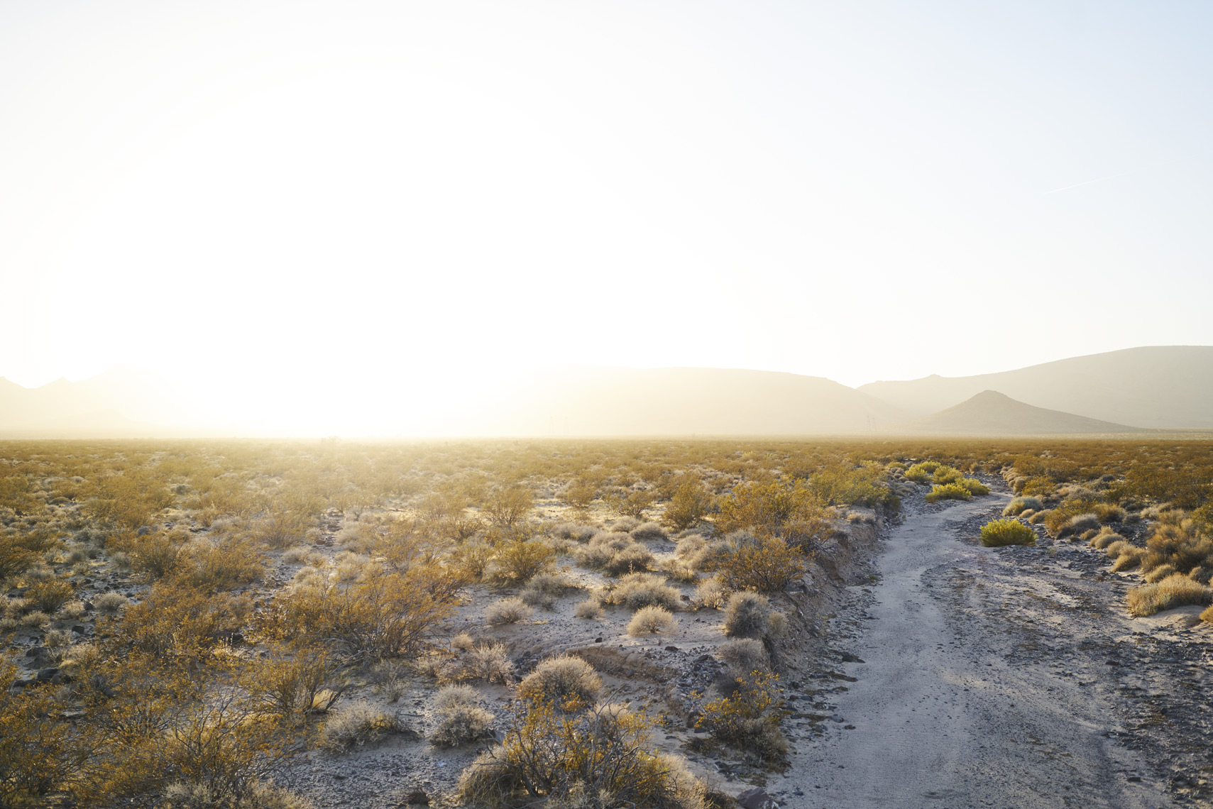 Desert wash at sunset along Mojave Road California Sean Dagen Photography