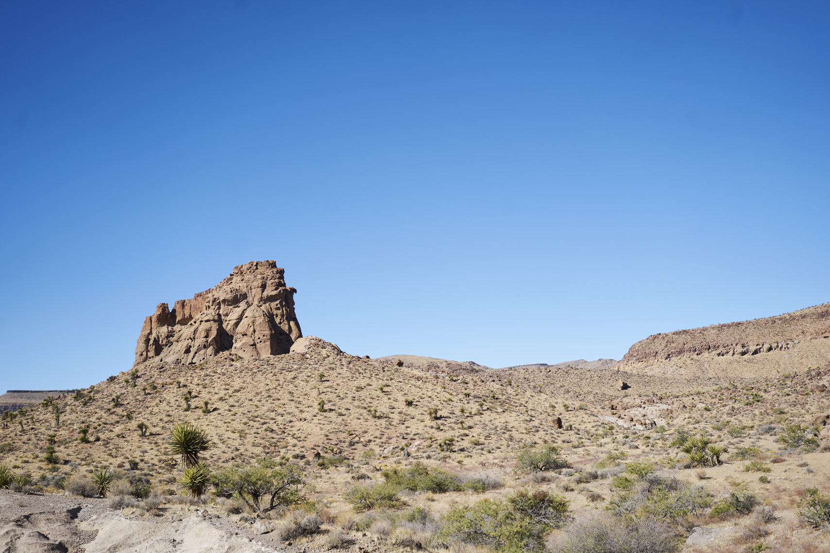 Desert Landscape in Mojave National Preserve California Sean Dagen Photography