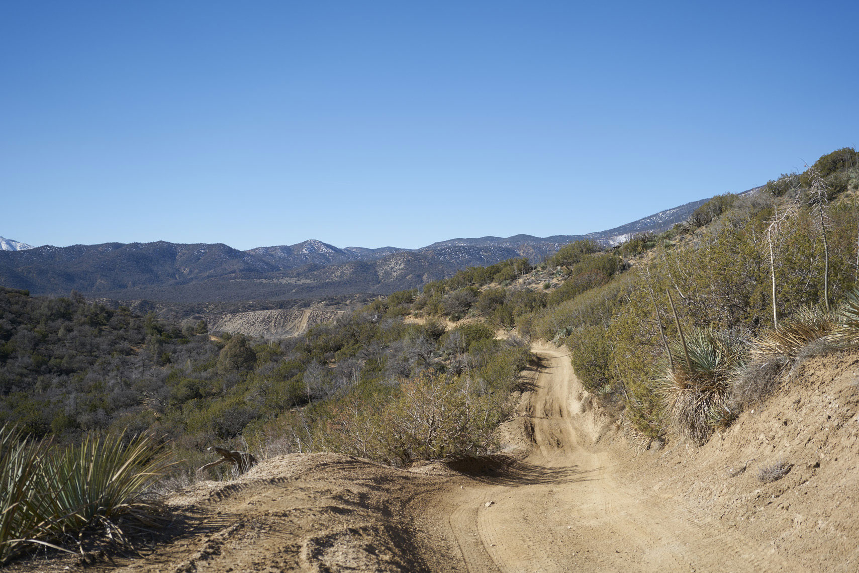 Trail at Hungry Valley SVRA Gorman California Sean Dagen Photography