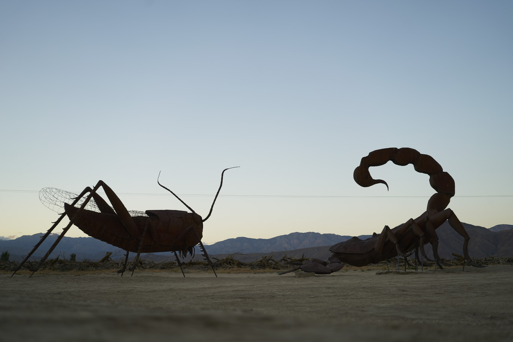 Sculptures in Galleta Meadows Borrego Springs California Sean Dagen Photography
